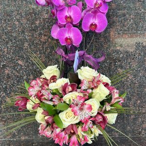 ÇİFT DALLI ORKİDE,ARAJMANLI