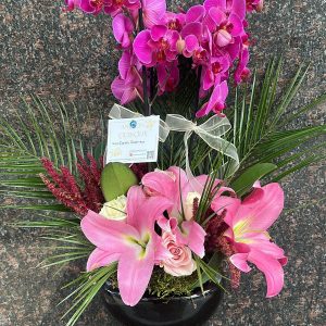 4 DALLI MOR ORKİDE ARAJMANLI