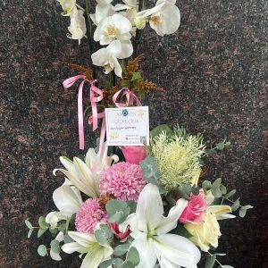 BEYAZ ORKİDE ARAJMANLI